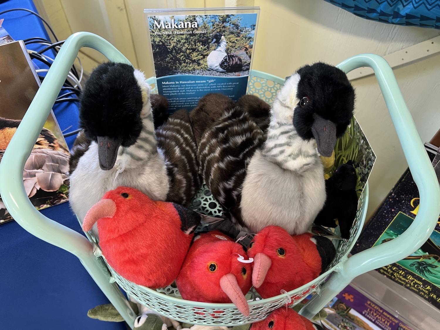 A $1 from the sale of each plush nēnē — spotted here in the Kahuku Unit's gift shop — goes to conservation projects.