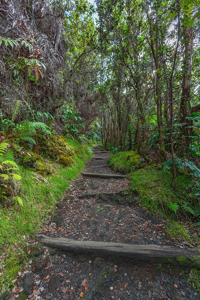 Ascending the Kilauea Iki Trail back up to the parking area, Hawai'i Volcanoes National Park / Rebecca Latson