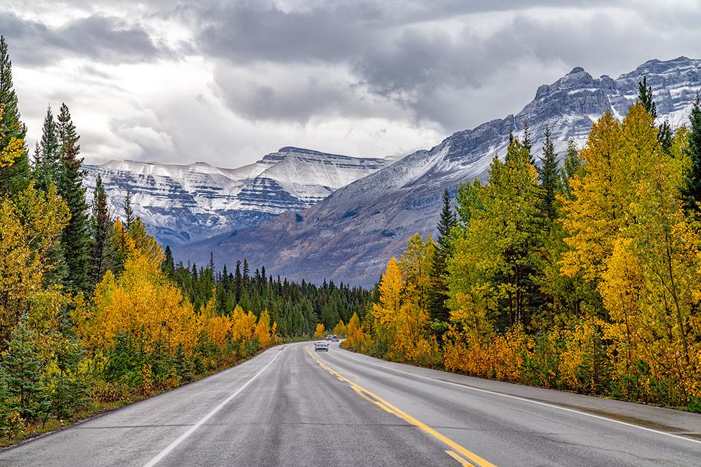 The Icefields Parkway through Banff National Park / Rebecca Latson