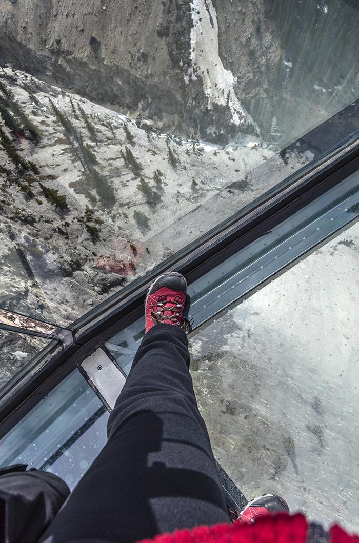 Walking On Transparent - The Glacier Skywalk, Jasper National Park / Rebecca Latson