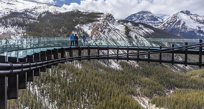 Looking Out At The Glacier Skywalk, Jasper National Park / Rebecca Latson