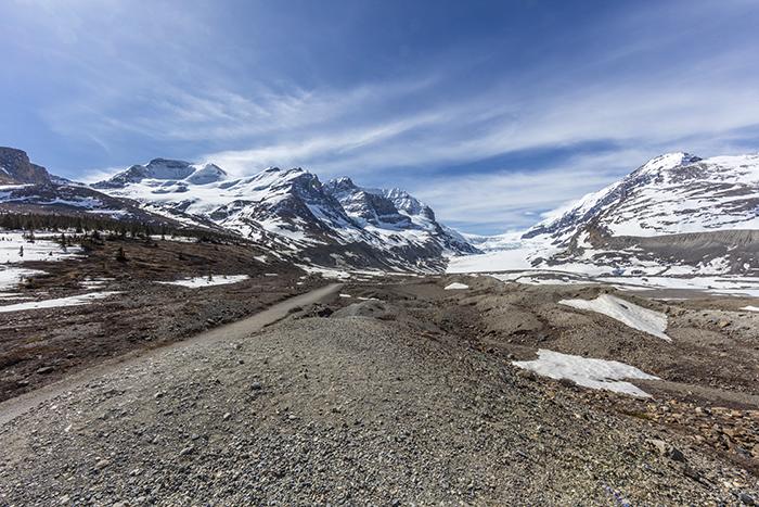 The Path To Views Of The Athabasca Glacier, Jasper National Park / Rebecca Latson