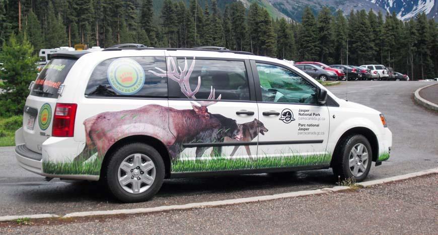 The Wildlife Guardians drive a distinctive marked van in Jasper National Park.