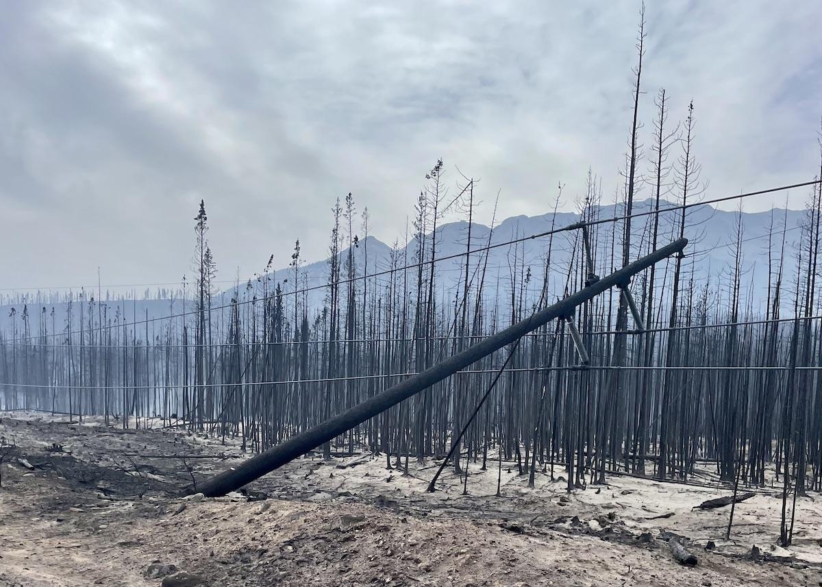 Power poles that have been burned down in the Jasper wildfire.