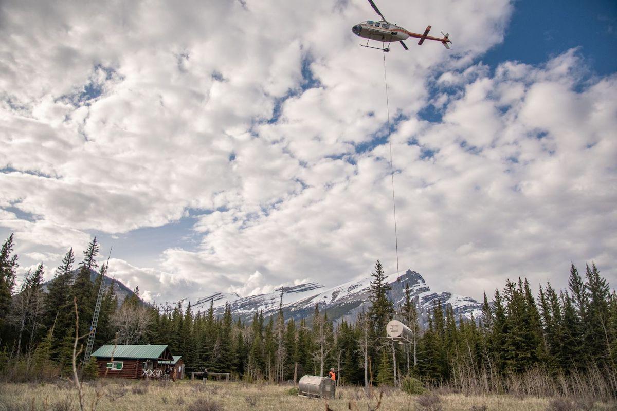 A grizzly bear was relocated by helicopter in May.