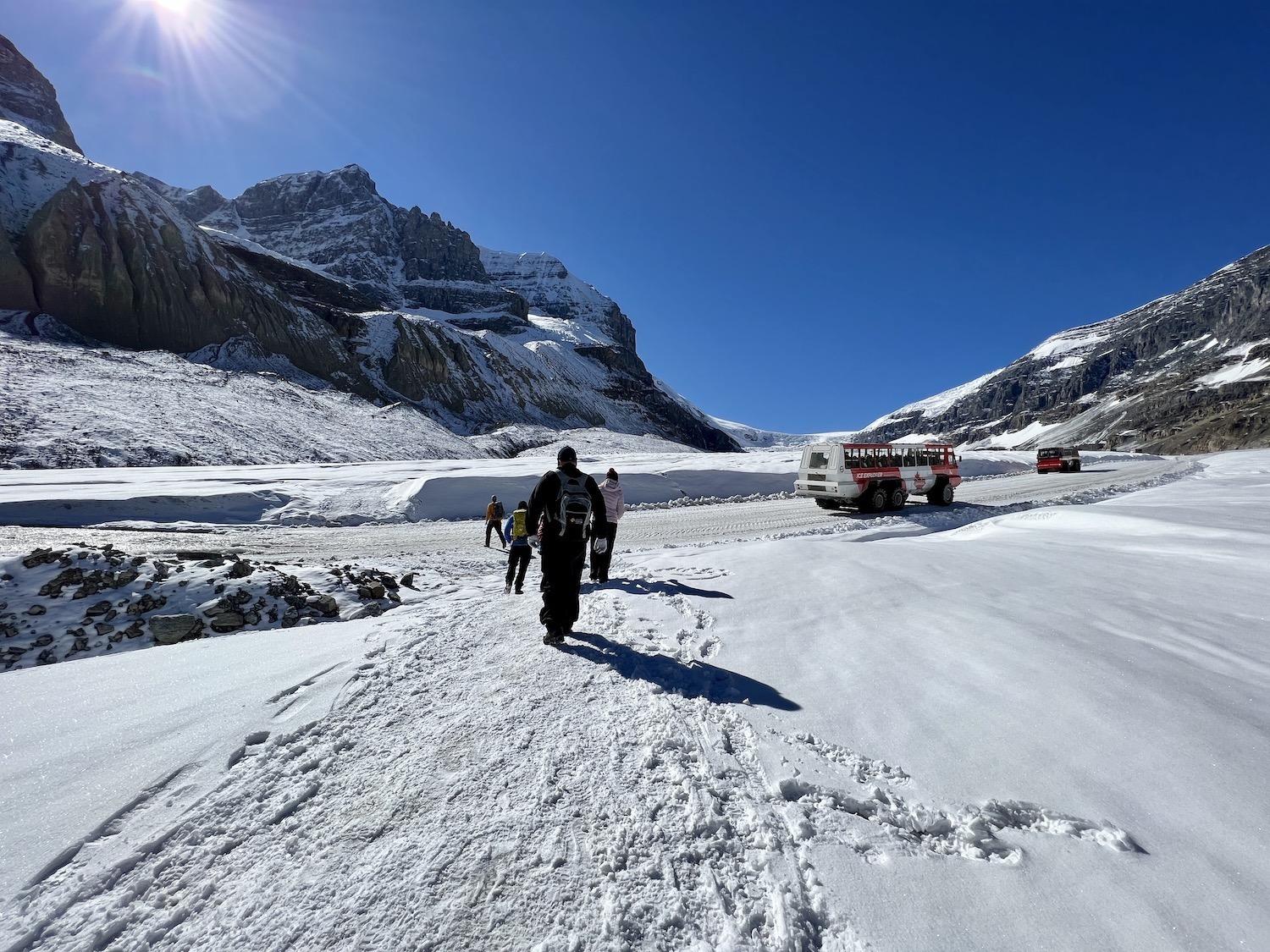 Our group crosses an ice road as snow coaches ferry other visitors to the Athabasca Glacier.