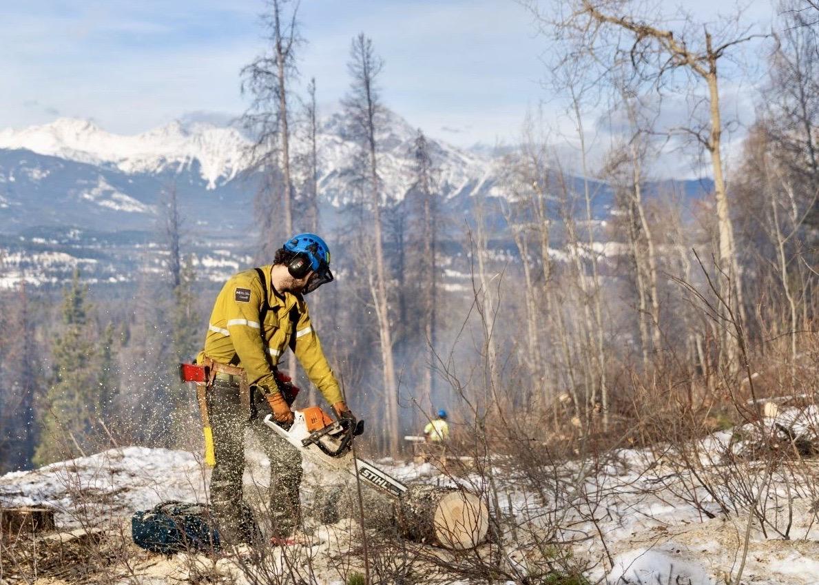 Jasper National Park continues its wildfire risk reduction risk.
