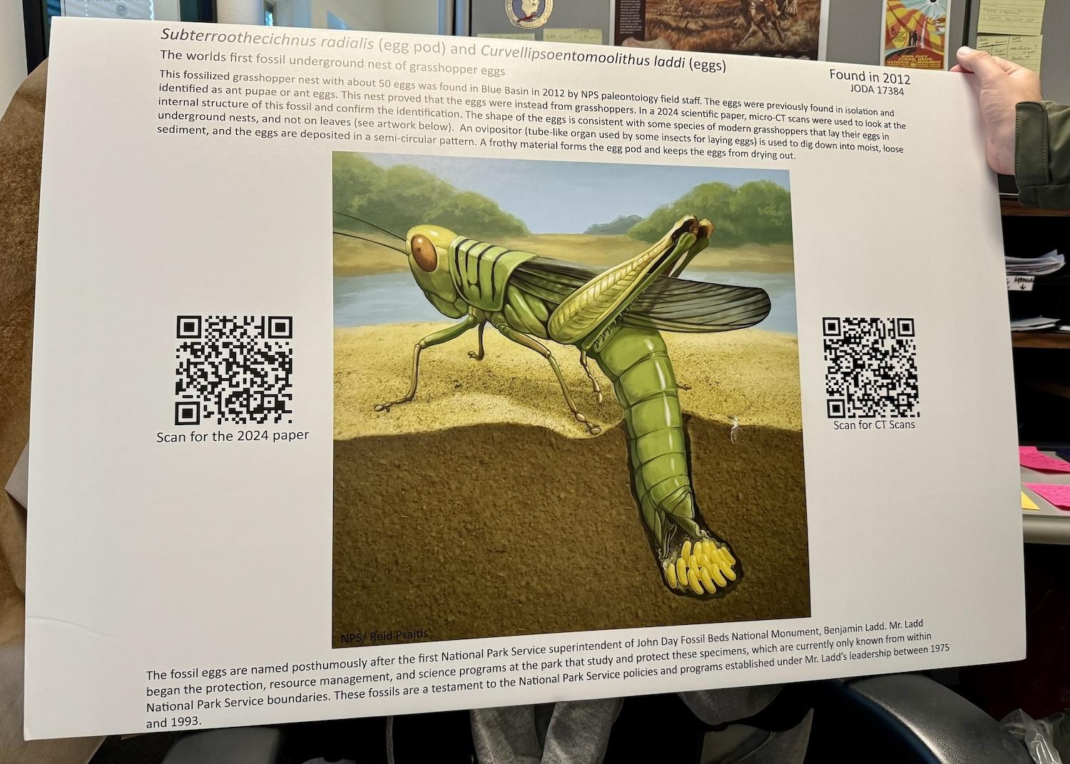 A smaller version of this panel will soon go on display at John Day Fossil Beds National Monument's visitor center.