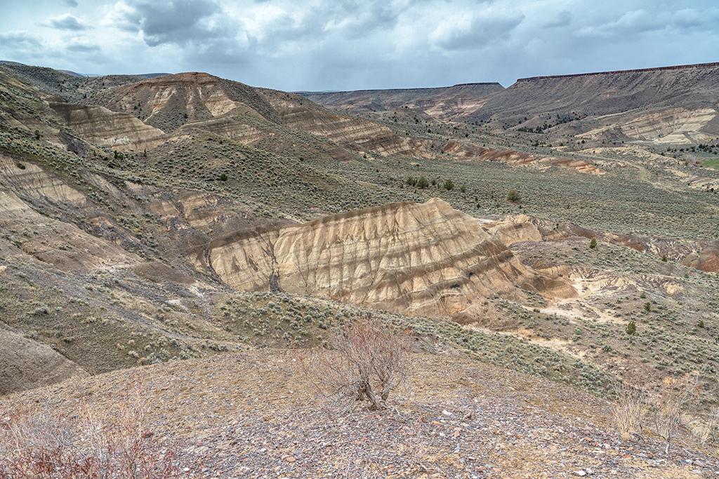 A wide-angle view of the Mascall Formation, Sheep Rock Unit, John Day Fossil Beds National Monument / Rebecca Latson