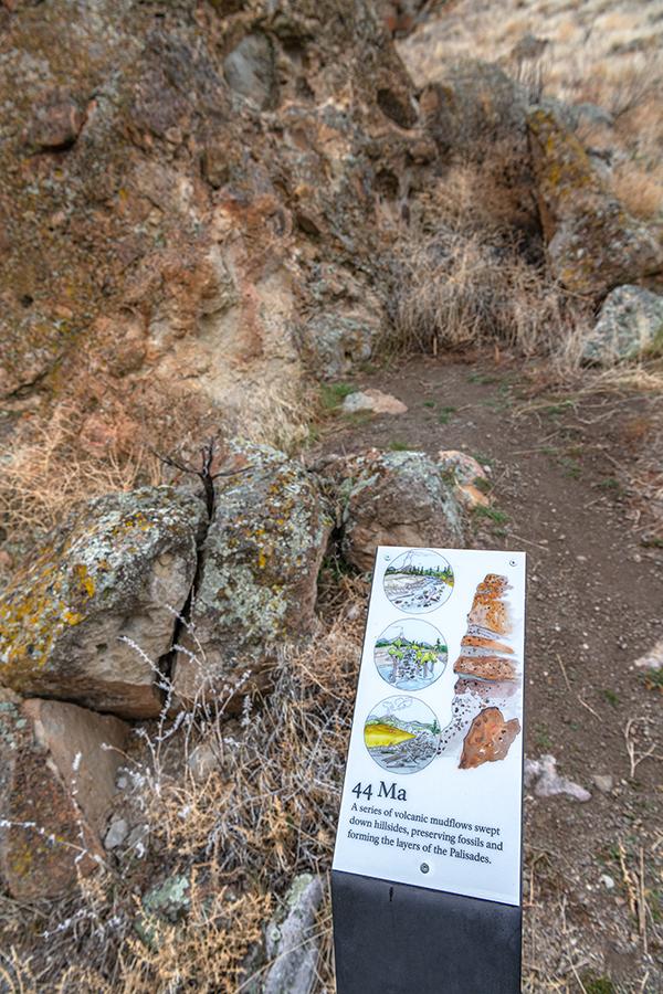44 million years ago, Clarno Unit, John Day Fossil Beds National Monument / Rebecca Latson