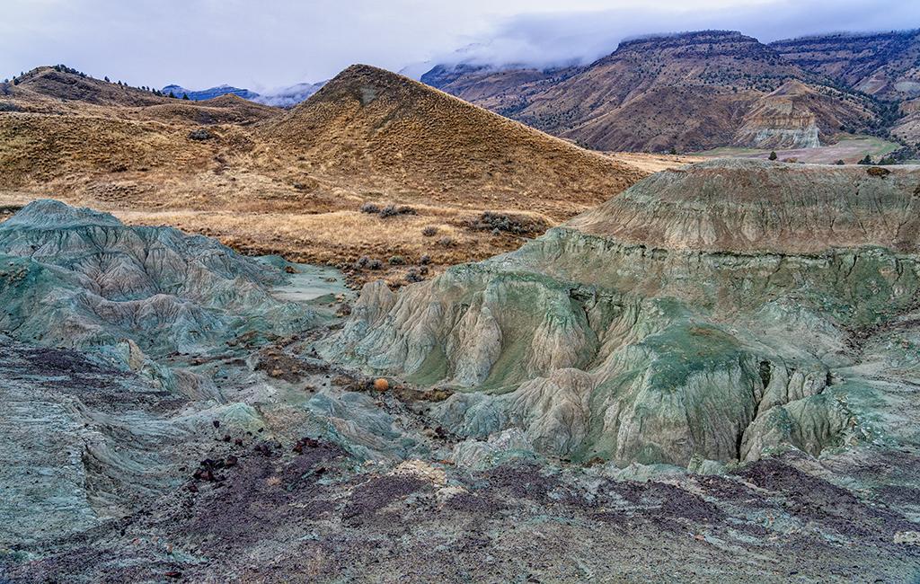 The green claystones of the Foree area, Sheep Rock Unit, John Day Fossil Beds National Monument / Rebecca Latson