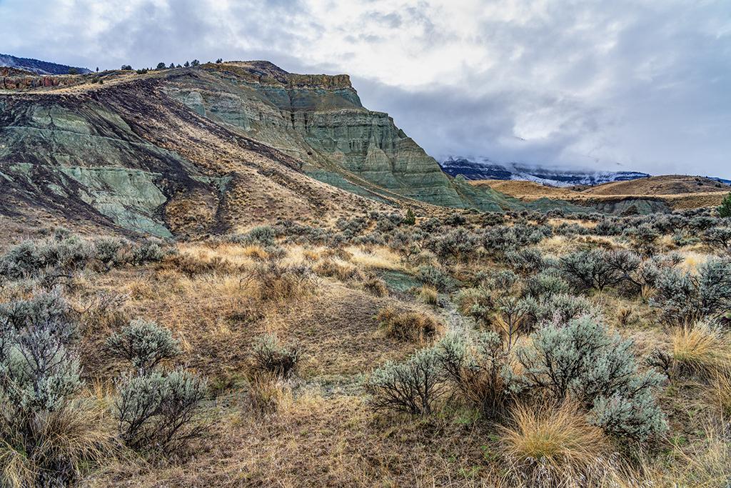 Scenery along the Story in Time Trail, Foree Area, Sheep Rock Unit, John Day Fossil Beds National Monument / Rebecca Latson