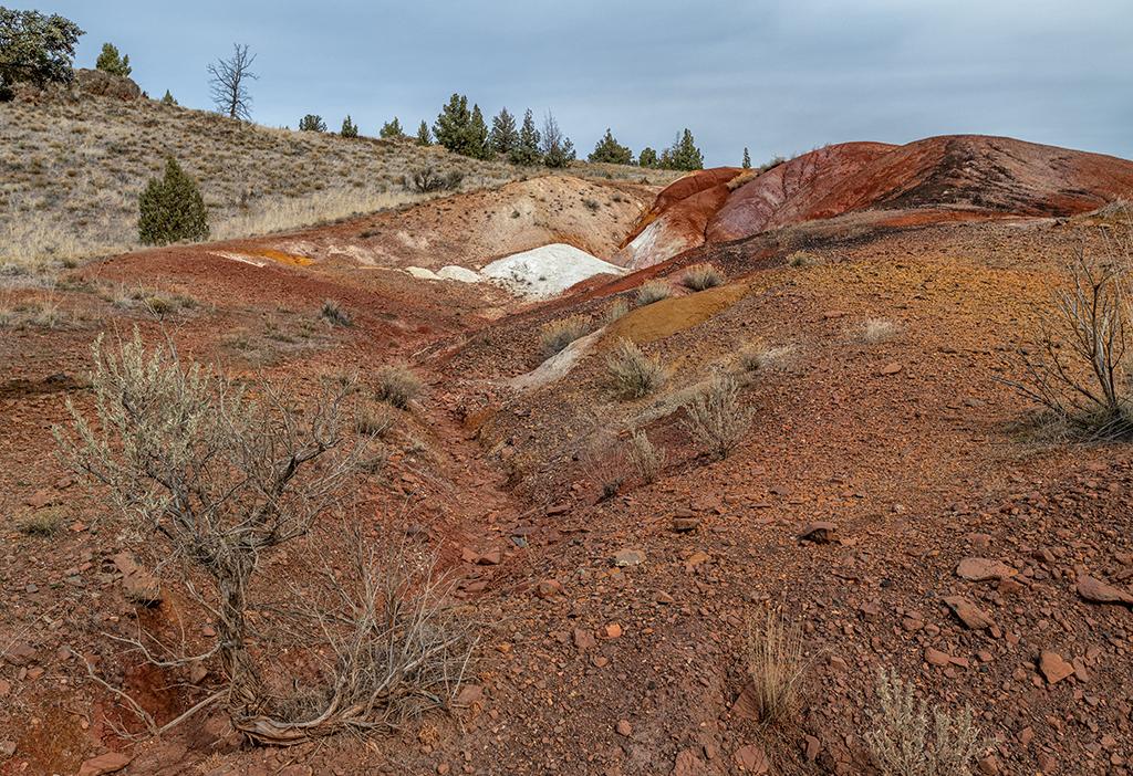 The white hill, Painted Hills Unit, John Day Fossil Beds National Monument / Rebecca Latson