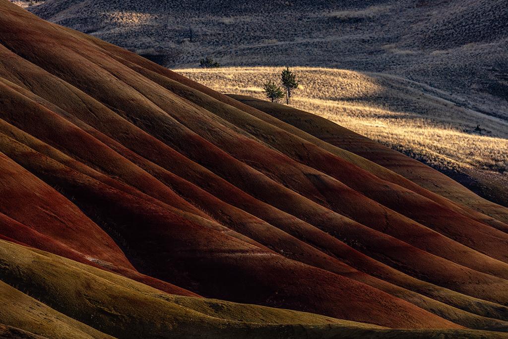 Velvet folds of undulating colors, Painted Hills Unit, John Day Fossil Beds National Monument / Rebecca Latson