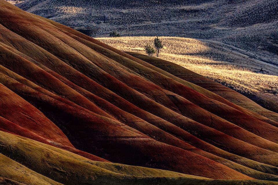 Maroon and yellow folds of "velvet," John Day Fossil Beds National Monument / Rebecca Latson