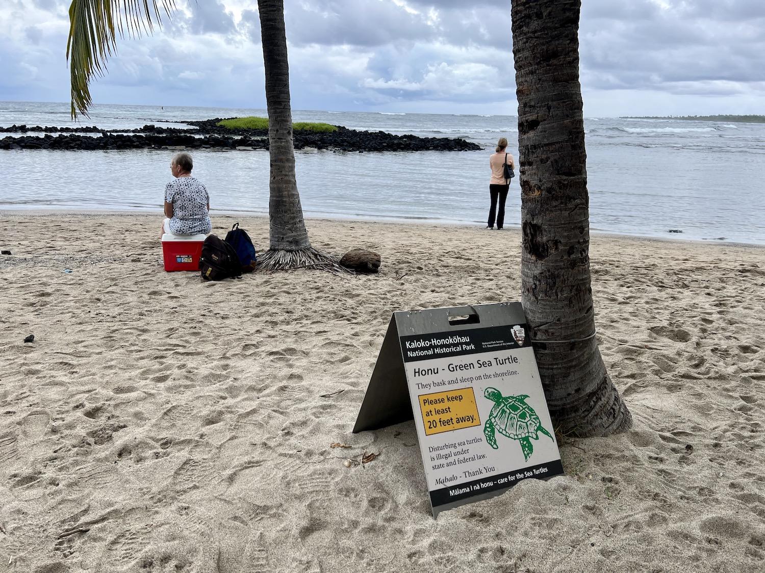 On Honokōhau Beach, park visitors watch for marine life by a sign about keeping 20 feet from green sea turtles.