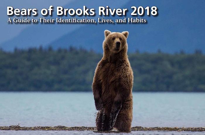 Bears of Katmai National Park and Preserve 2018/NPS