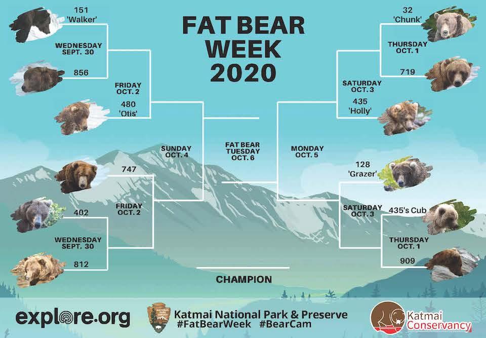 Here's your bracket for Fat Bear Week 2020/NPS