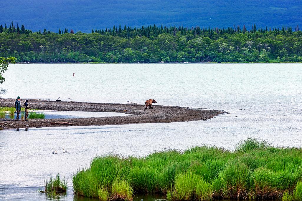 Sharing the space, Katmai National Park and Preserve / Rebecca Latson
