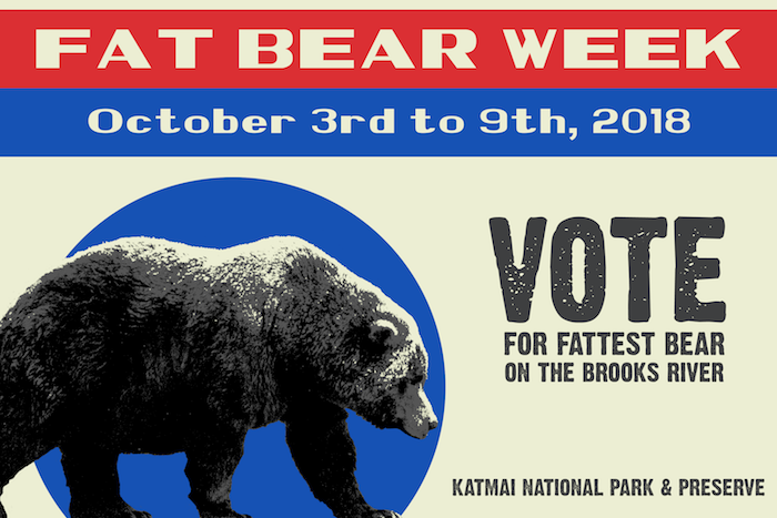 Fat Bear Week at Katmai National Park and Preserve is here/NPS