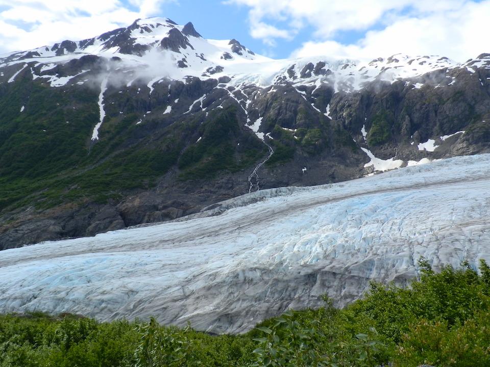 Visitors to Exit Glacier in Kenai Fjords National Park have been warned to watch out for a wounded cow moose/NPS file