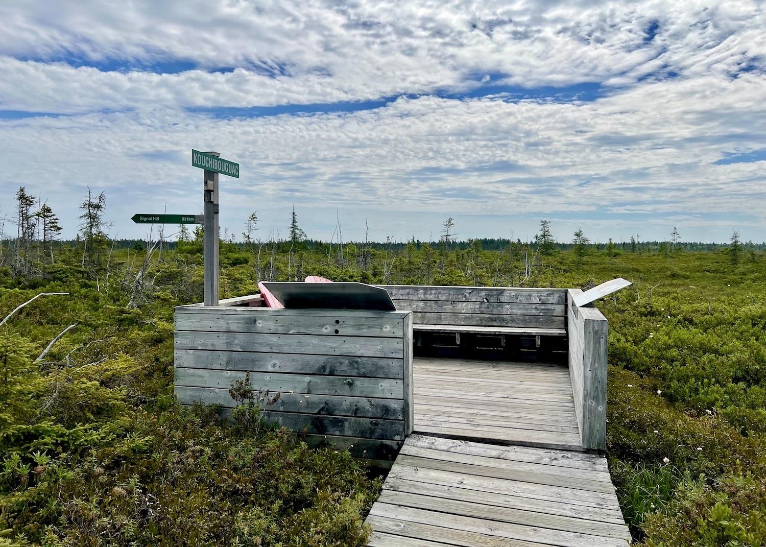 The Bog Trail ends in the middle of the bog at this observation deck.