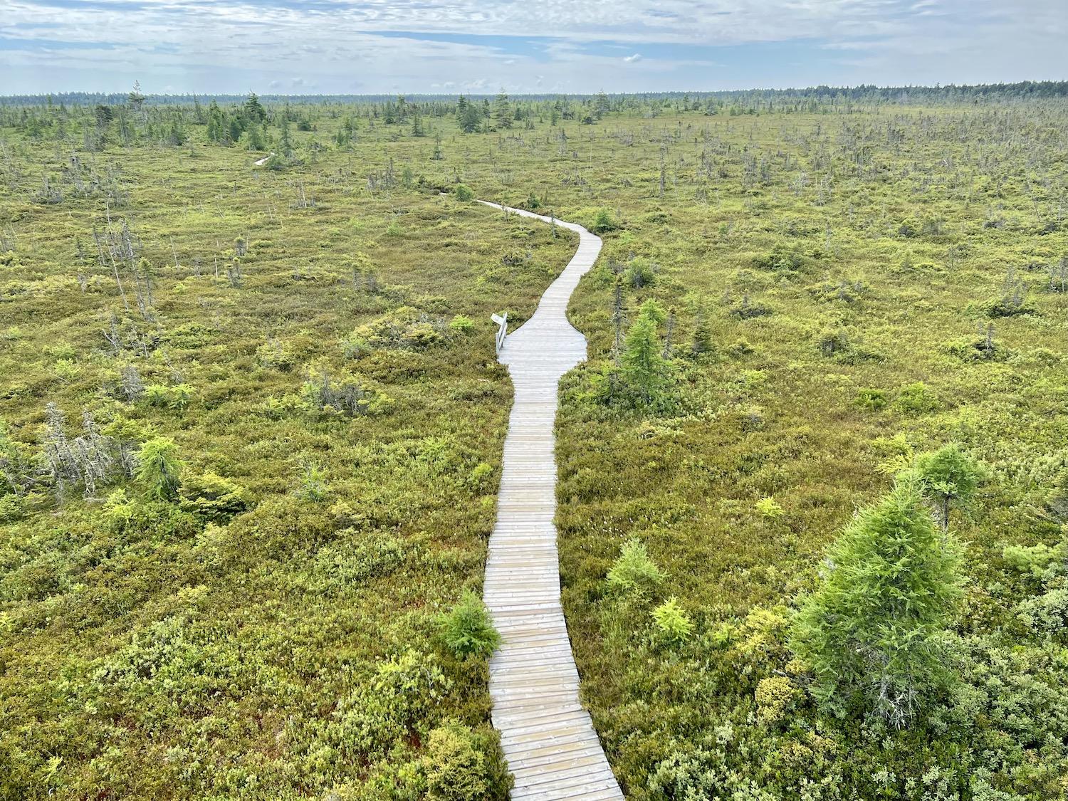 While Kouchibouguac is a coastal park, it also has bogs and this is the view from an observation tower on the Bog Trail.