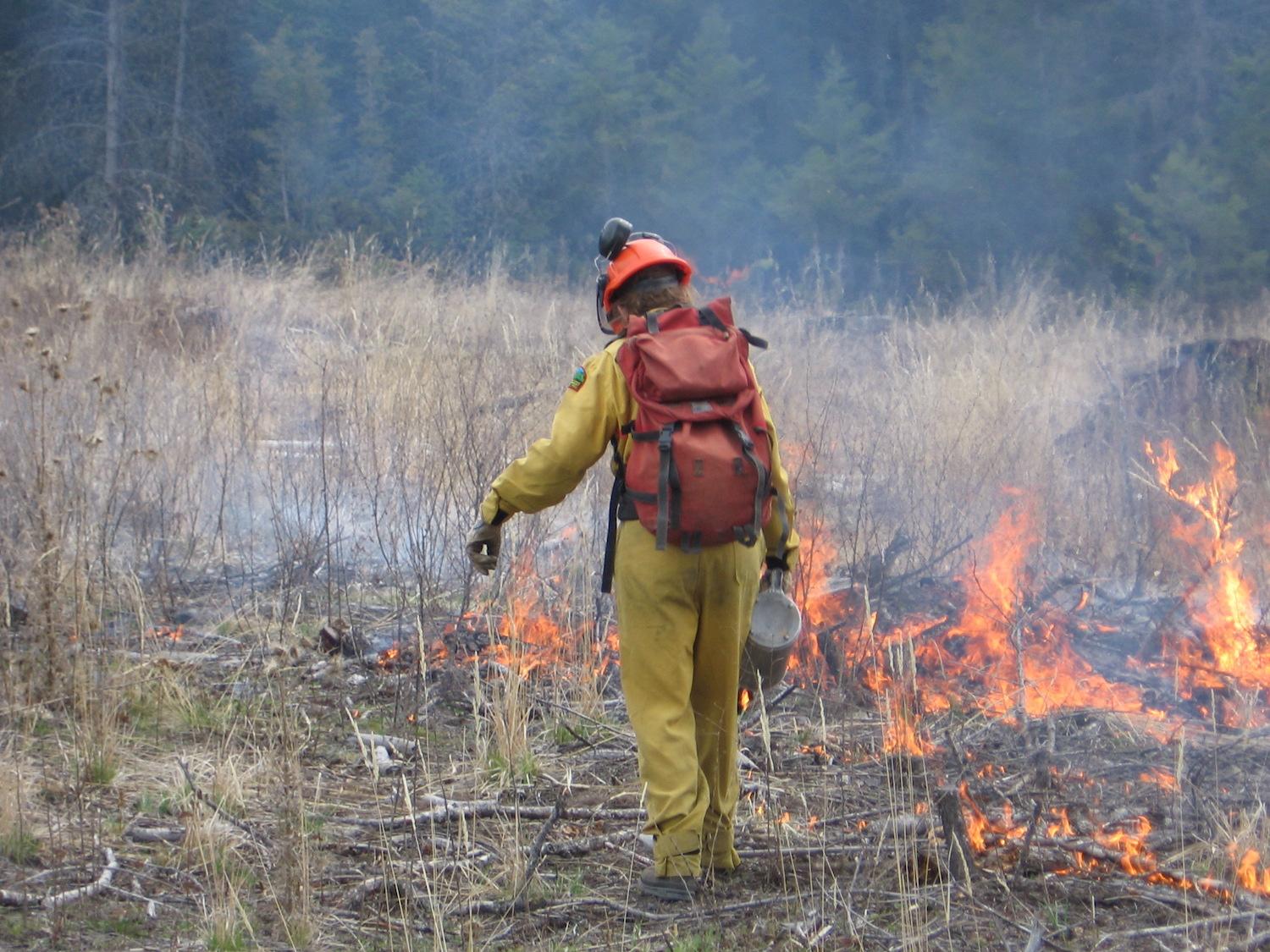 A prescribed burn at Kootenay National Park uses drip torches.