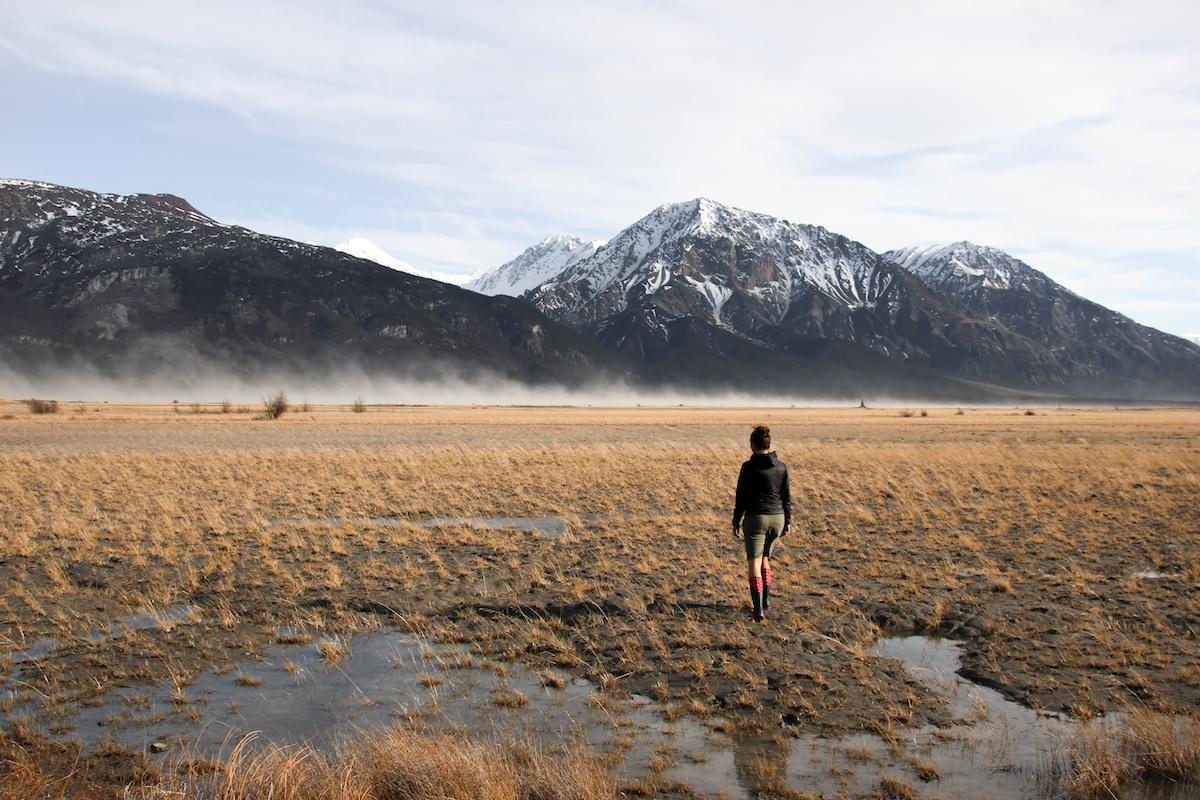 Walking in Kluane.