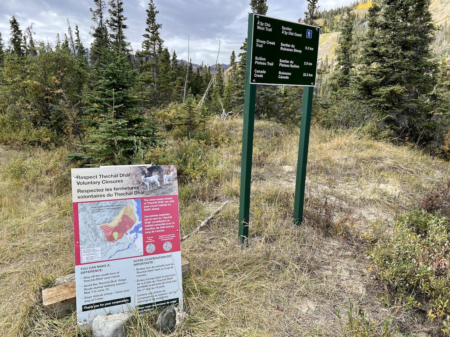 Signage just before the Sheep Creek trailhead tells hikers about Dall's sheep.