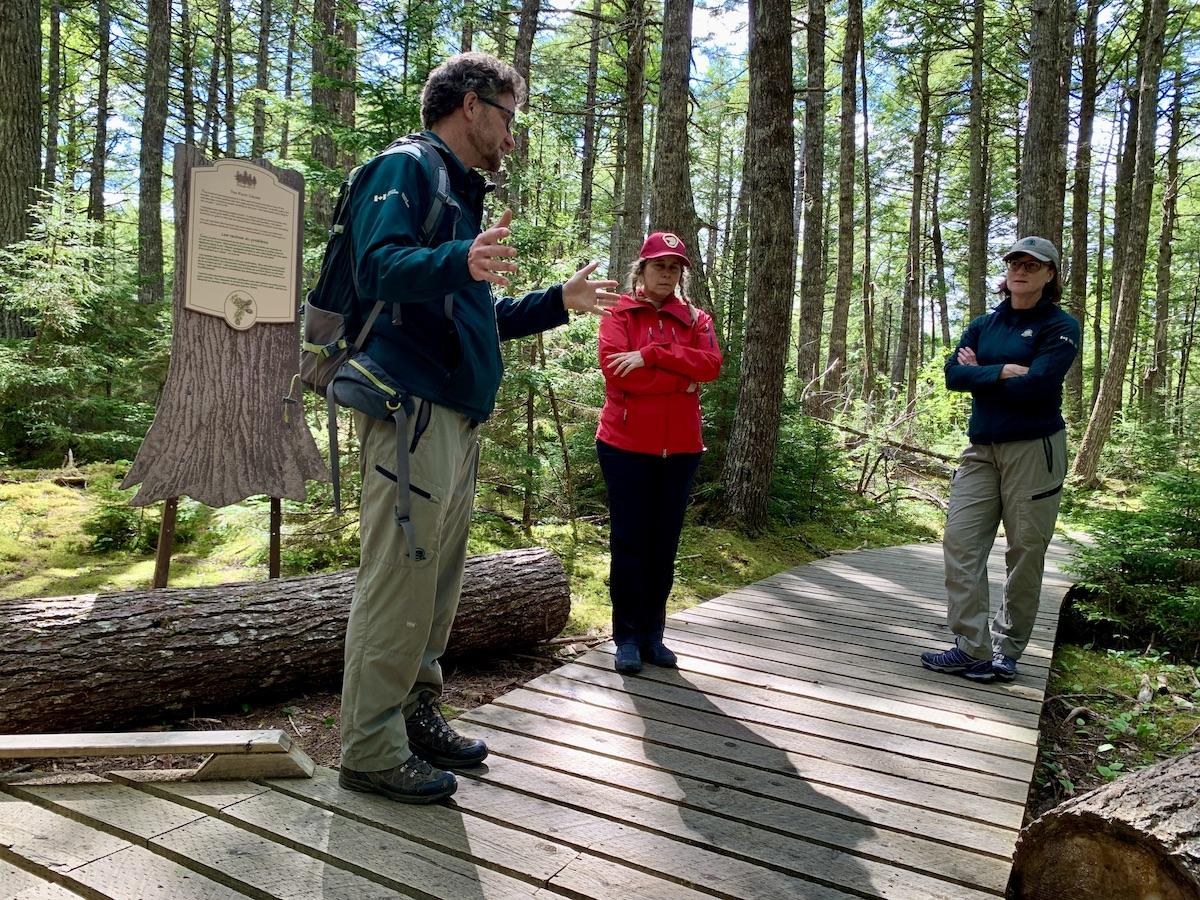 Parks Canada ecologist Matt Smith along the boardwalk that protects an old-growth hemlock stand.