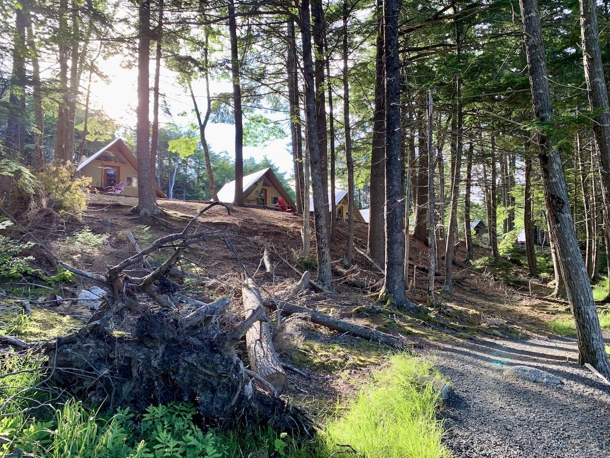 A view through the trees of oTENTiks (roofed accommodation) in the group area of Jeremy's Bay Campground.