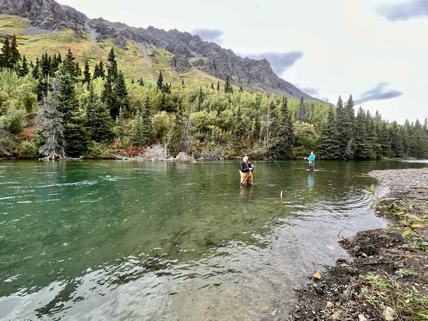 Casting for grayling in the shallow, turquoise waters of Kluane National Park and Reserve.