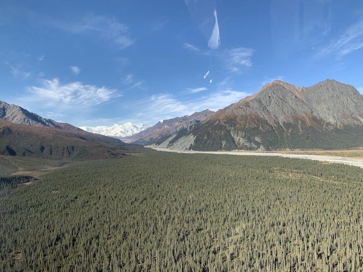 An aerial view of a candidate site for prescribed fire in Kluane National Park and Reserve. 