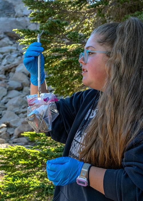 Step 1: weighing the chipmunk, Lassen Volcanic National Park / Rebecca Latson