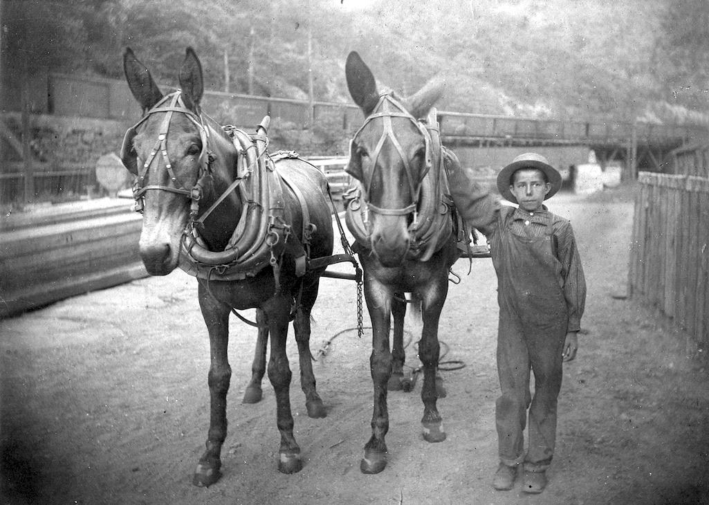 Daniel McCollick of Erwinna with his team at Mauch Chunk in 1911/Delaware and Leigh National Heritage Corridor