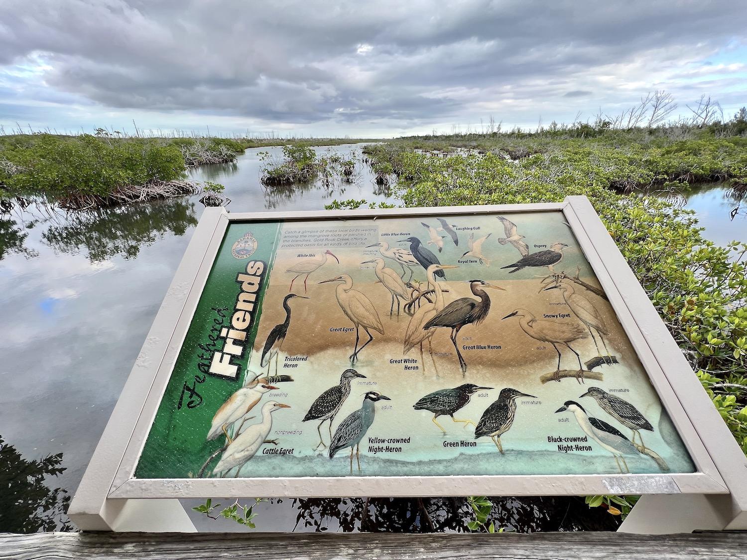 A vintage sign details bird life in Gold Rock Creek in Lucayan National Park.