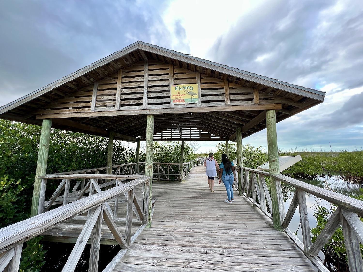 This part of the Lucayan National Park boardwalk meanders through Gold Rock Creek among mangroves.