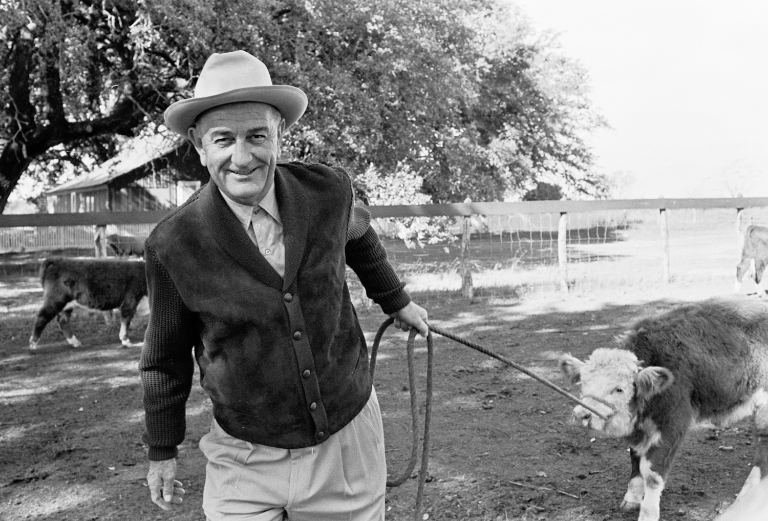 President Lyndon B. Johnson pulls a calf by a rope in a vintage black-and-white photo taken at his ranch.