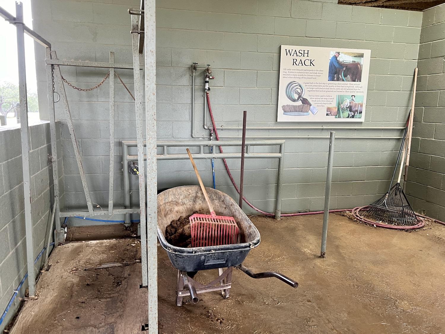 An interpretive sign in the LBJ Ranch Show Barn explains that a good bath is the first step in grooming a show animal.