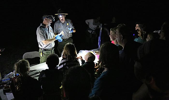 Bat Night at Mammoth Cave National Park/NPS