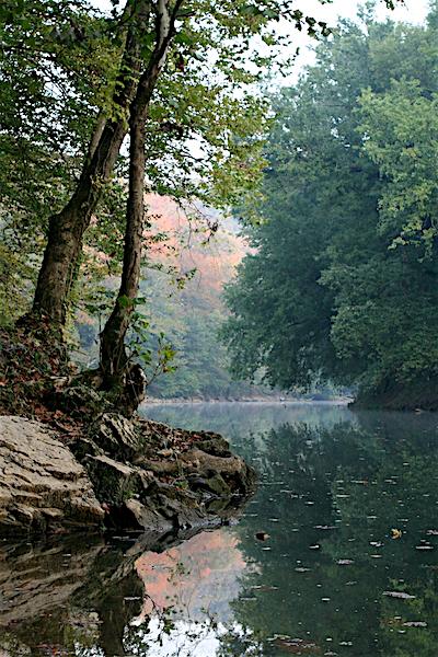 The Green River at Turnhole Bend, Mammoth Cave National Park/NPS