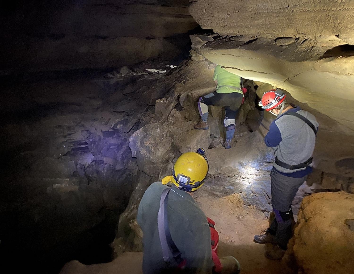 Many important fossil localities in the cave are difficult to get to due to the remote and sometimes challenging passageways. The sites are in areas of low ceilings that require crawling for long distances on hands and knees, and at times, belly crawling.