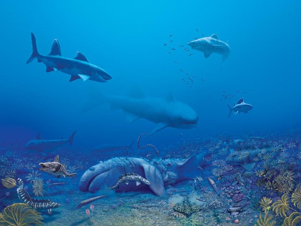 The Mississippian age (325 MYA) ancient sea and marine life preserved at Mammoth Cave National Park/NPS, painting by Julius Csotonyi The Mississippian age (325 MYA) ancient sea and marine life preserved at Mammoth Cave National Park/NPS, painting by Julius Csotonyi