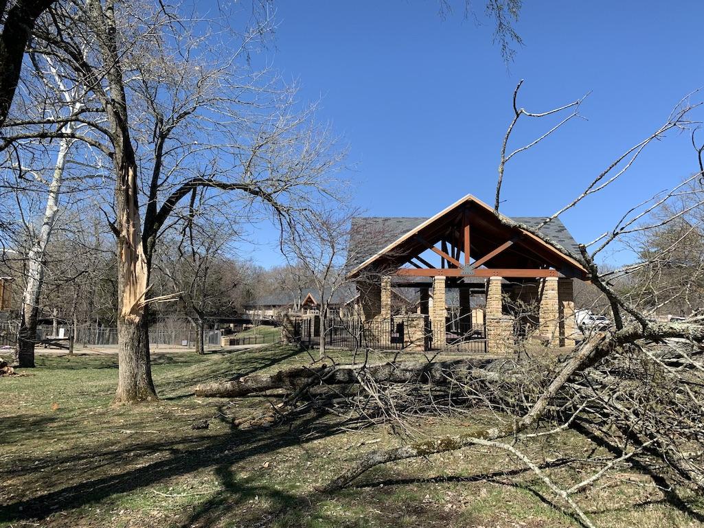 Several trees and branches fell around the visitor center in Mammoth Cave National Park. NPS Photo