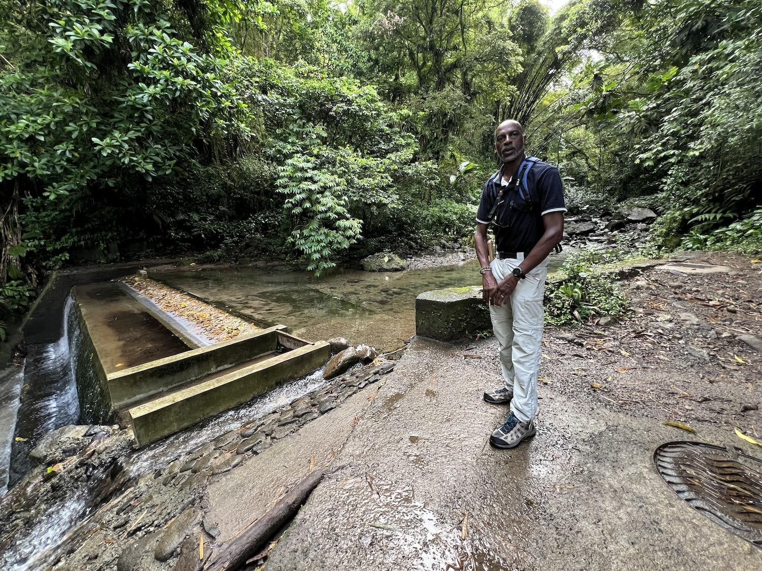 A footbridge is planned for hikers who take the Fontaine Didier-Absalon trail in Martinique. Gilles Vicrobeck, who manages the island's trails and hiking clubs, offers guided hikes.