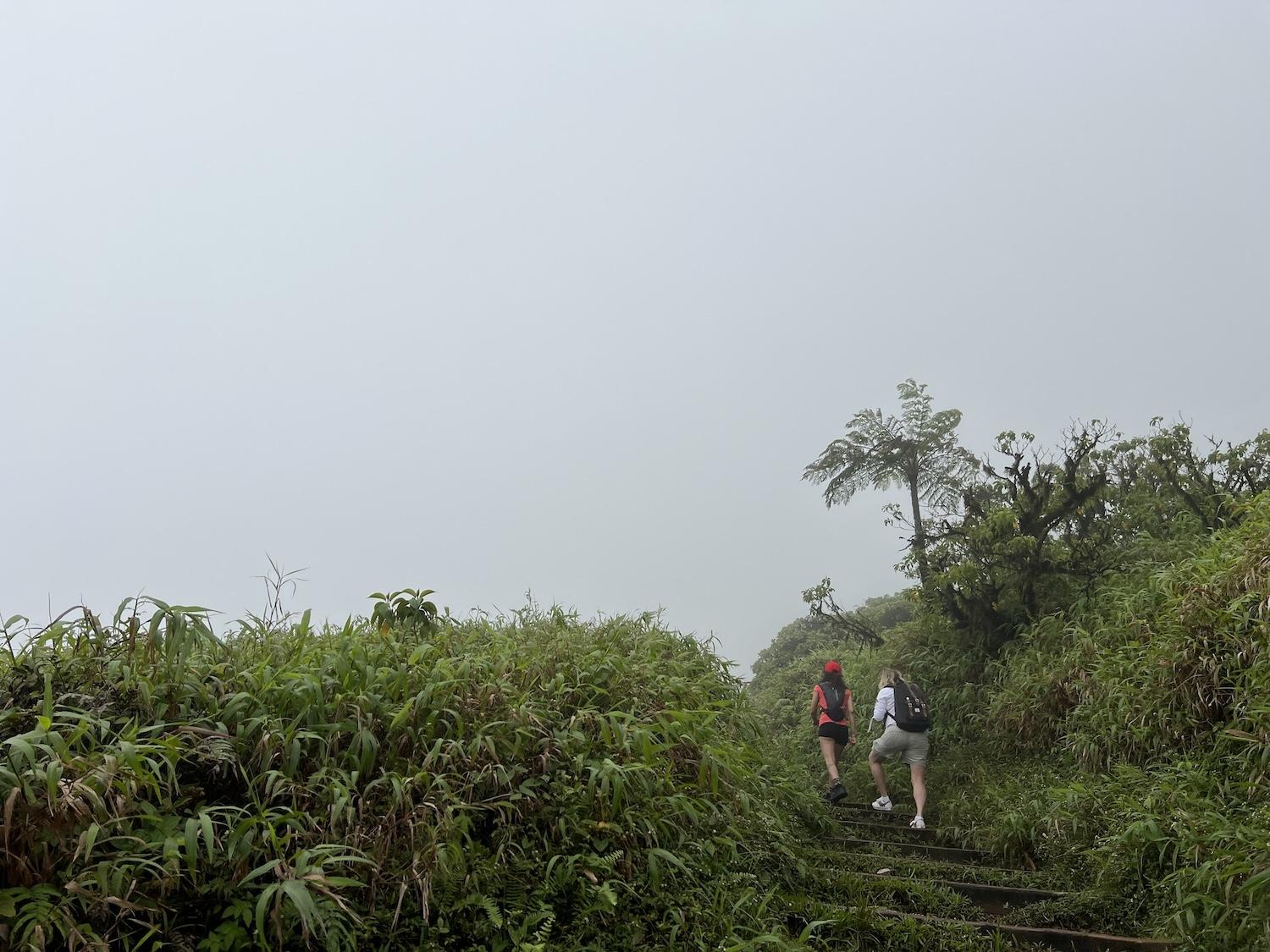 When you're hiking Mount Pelée in Martinique, the volcano is often shrouded in fog.