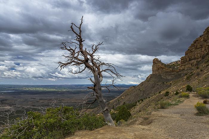 The view at the Montezuma Valley Overlook