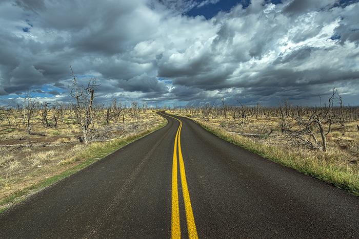 Road to the ruins