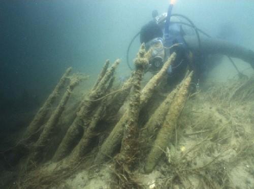 An underwater shot of a diver with the ancient wooden stakes.